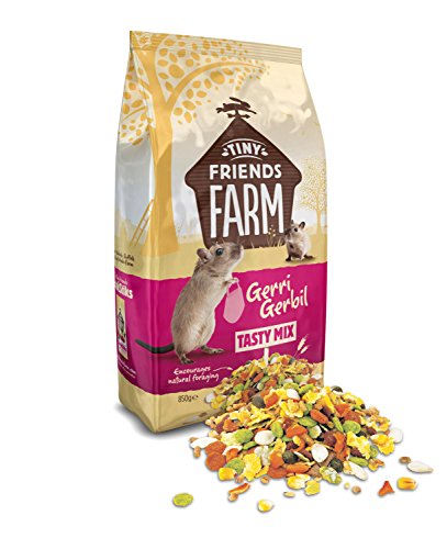 Supreme Gerri Gerbil Food 850gm